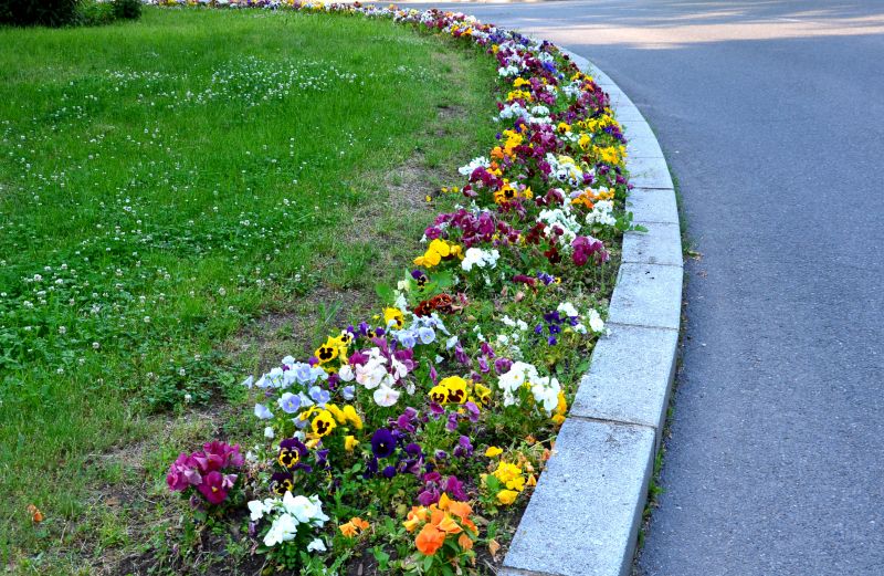 Landscaping Edging Costs — Cost of Landscaping Edging