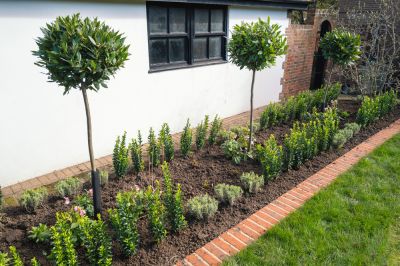 Brick Edging